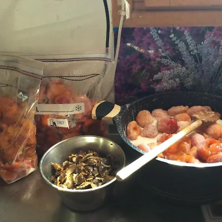 La Pergola Hotel Cavalaire-sur-Mer